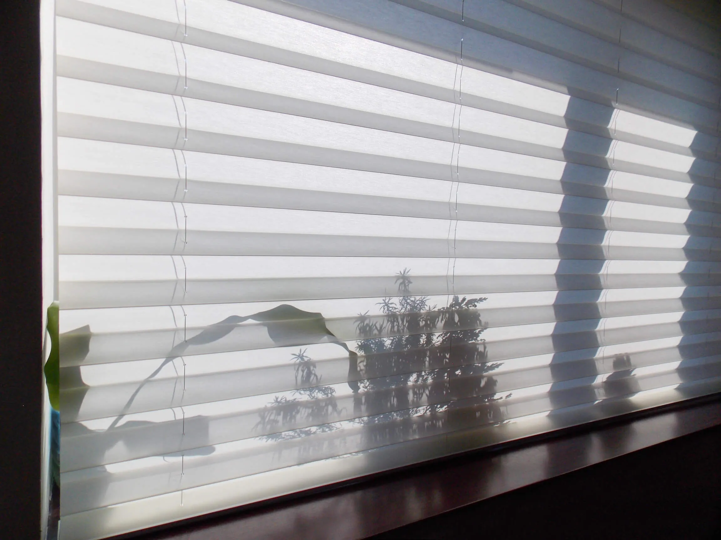 Plissee an einer bodentiefen Fensterfront, halb geschlossen